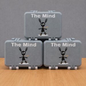 3D Printed The Mind Storage Box, Bunny Illustration Mini Organizer Case